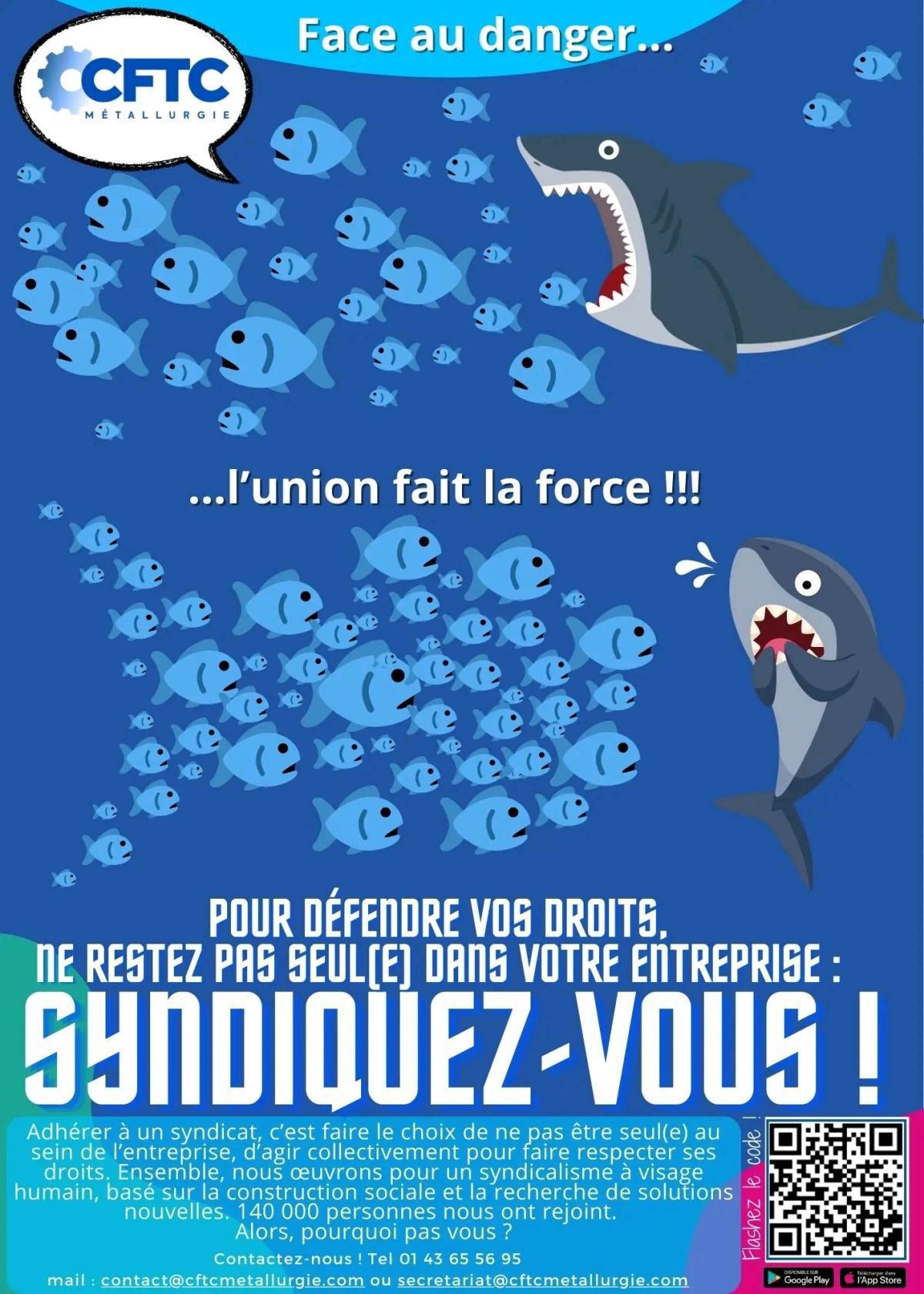 Article n°708