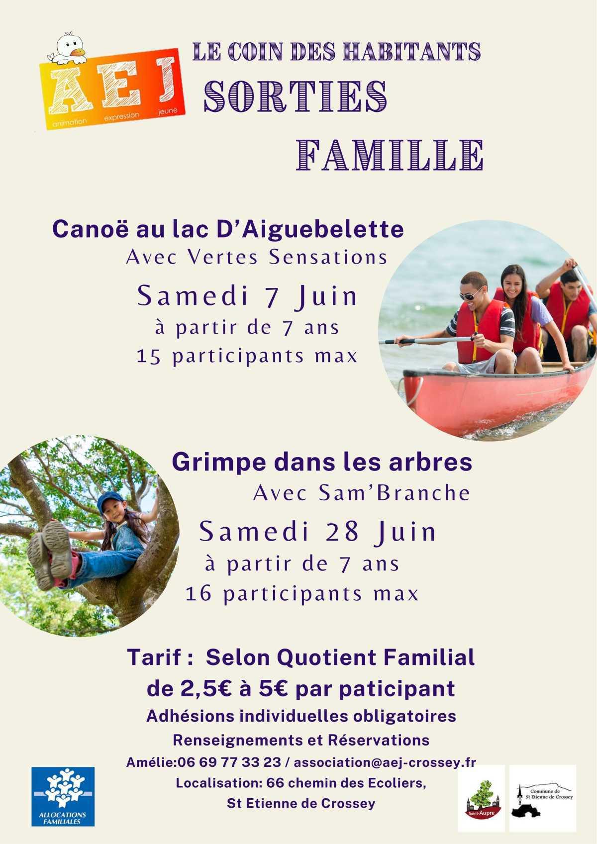 Sortie Famille Grimpe dans les arbres