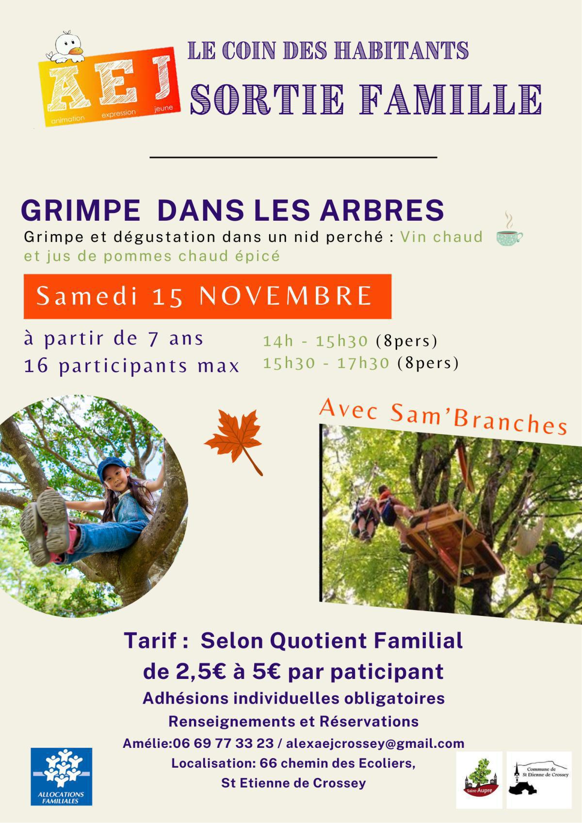 Sortie famille Grimpe dans les arbres