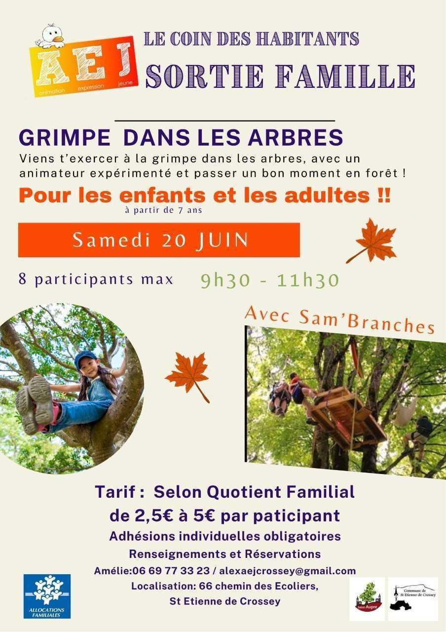 Sortie Grimpe dans les arbres