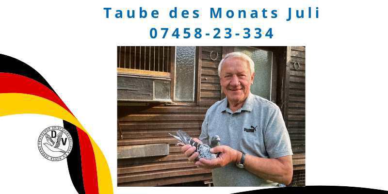 Taube des Monats Juli: 07458-23-334 von Egon Schlüter