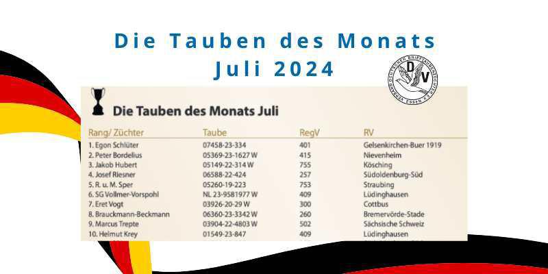 Taube des Monats Juli: 07458-23-334 von Egon Schlüter