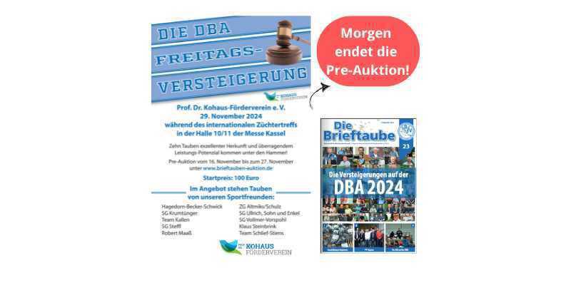 Morgen endet die Pre-Auktion zur DBA-Versteigerung beim Züchtertreff