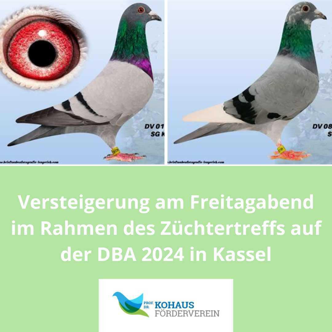 Morgen endet die Pre-Auktion zur DBA-Versteigerung beim Züchtertreff