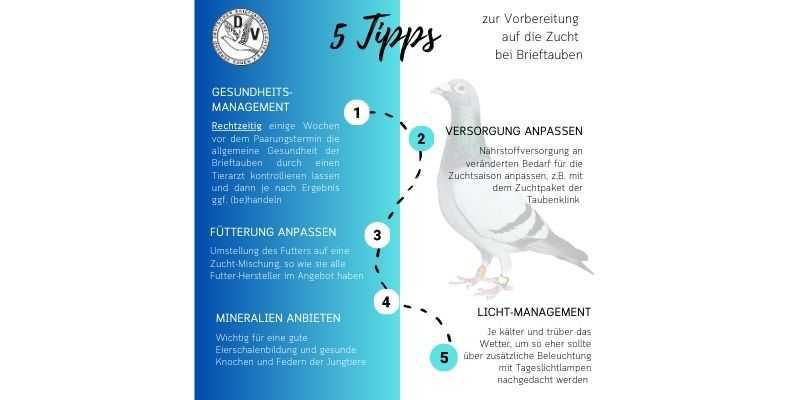 5 Tipps zur Vorbereitung auf die Zucht 