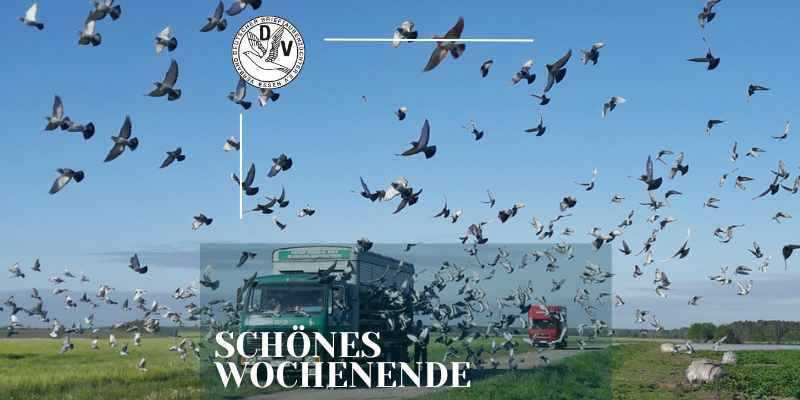 Wir wünschen ein schönes Wochenende!
