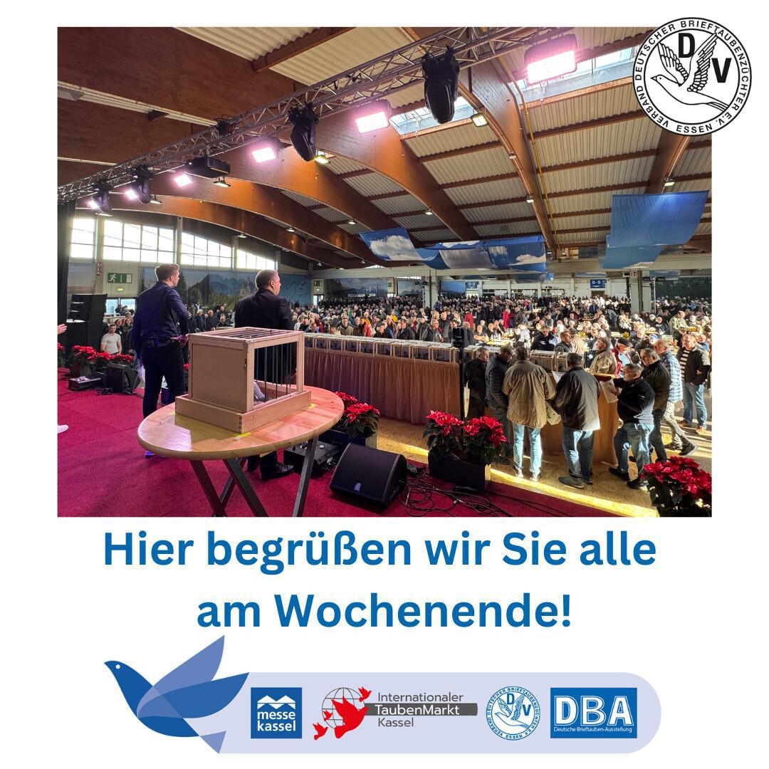 DBA & Taubenmarkt Kassel 2025 