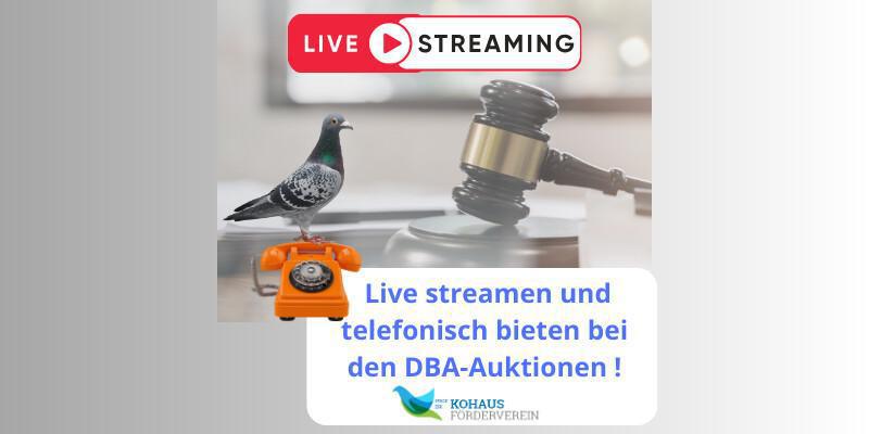 🕊✨ Live Stream bei den DBA-Auktionen des Prof. Dr. Kohaus-Fördervereins 2025 🕊✨ 🕊✨ Live Stream bei den DBA-Auktionen des Prof. Dr. Kohaus-Fördervereins 2025 🕊✨