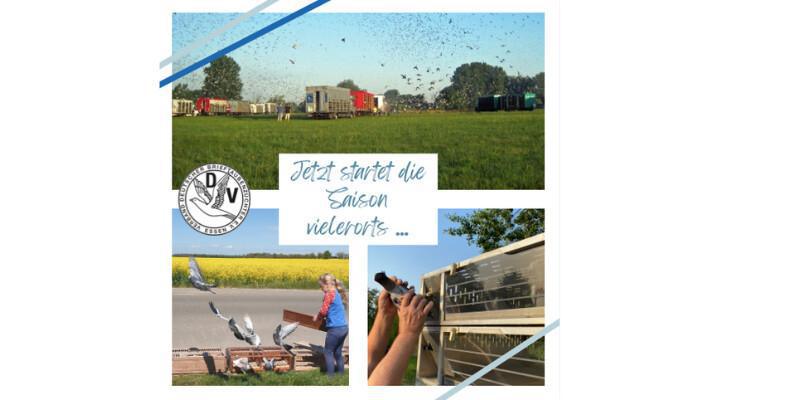 🕊️✨ Saisonstart 2026 – Jetzt geht’s vielerorts los! ✨🕊️