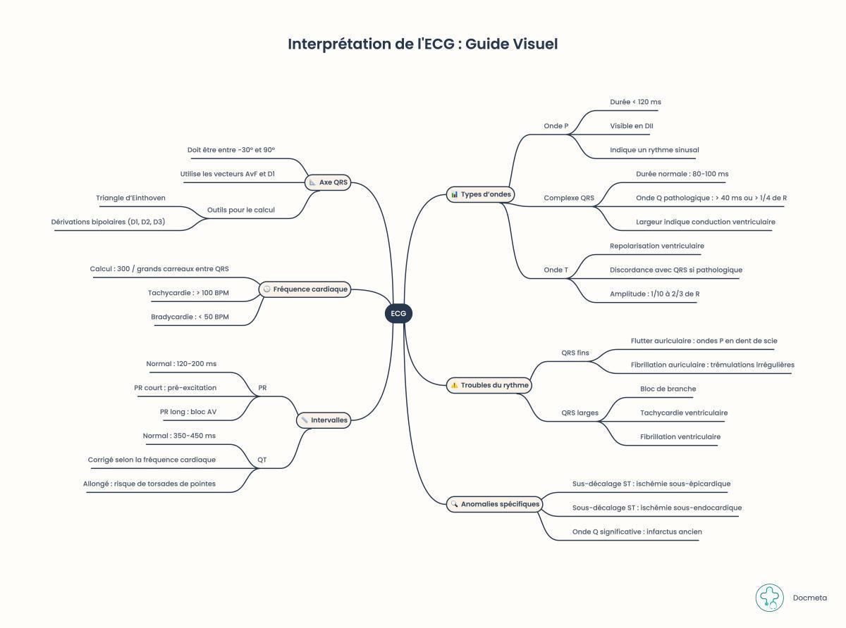 Interprétation de l'ECG Interprétation de l'ECG