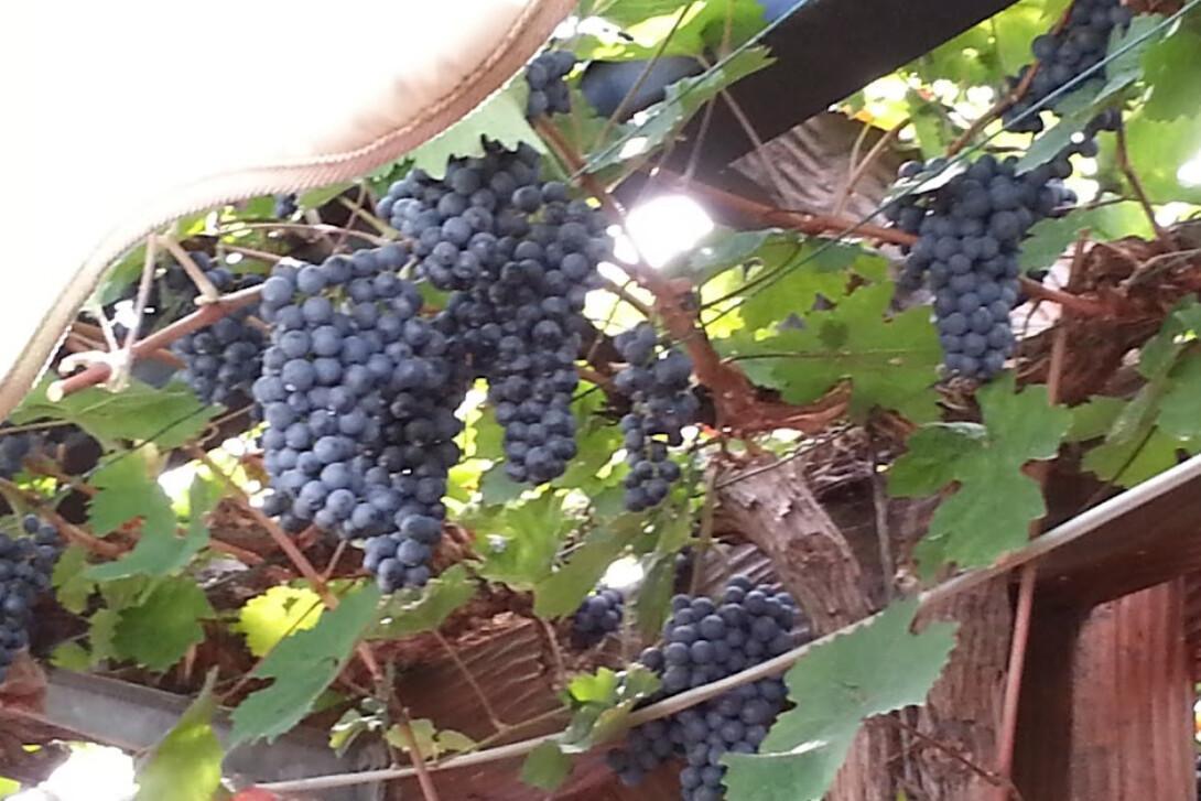 Besenwirtschaft Gerhard Zaiß / Gehrenwald Gewann 5, 70327 Stuttgart Besenwirtschaft Gerhard Zaiß / Gehrenwald Gewann 5, 70327 Stuttgart