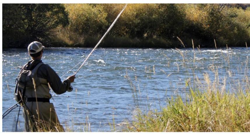 Il fiume Giovenco e la pesca