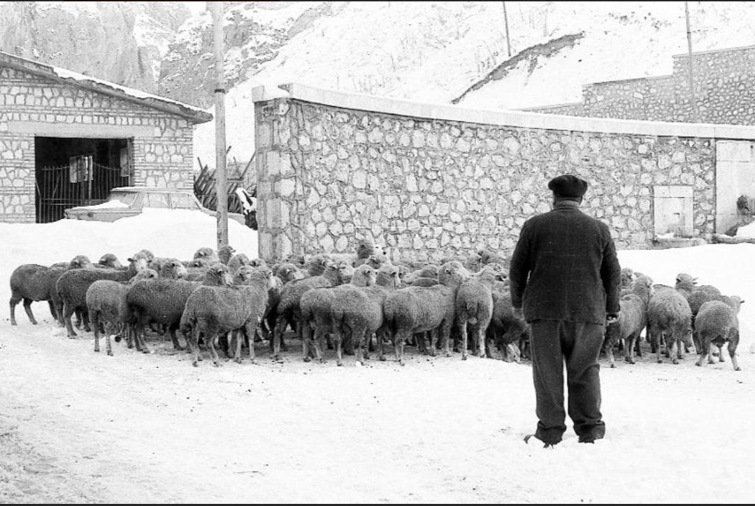 I volti di Fontamamara