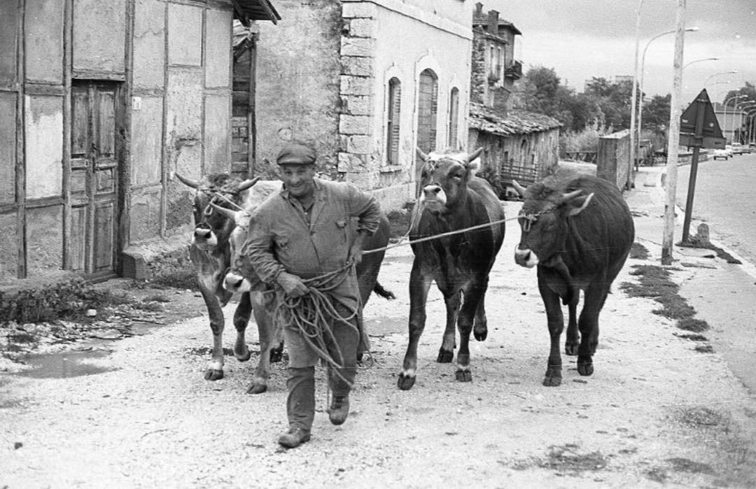 I volti di Fontamamara