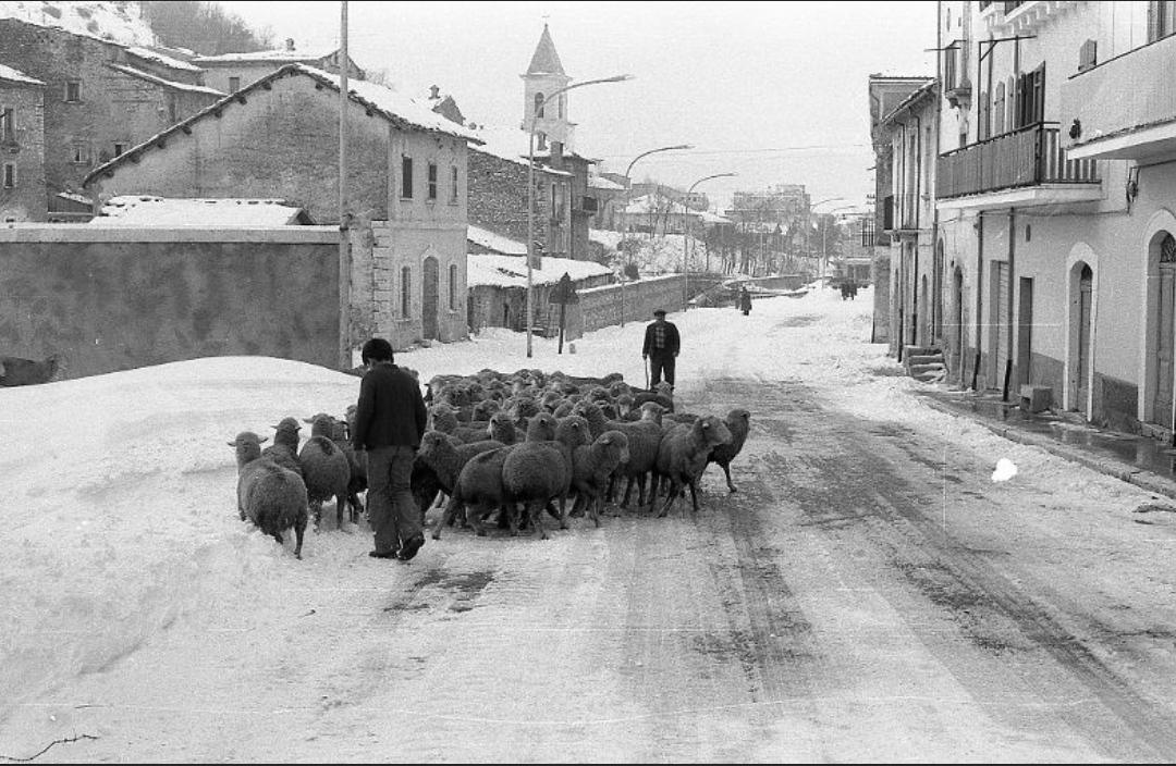 I volti di Fontamamara