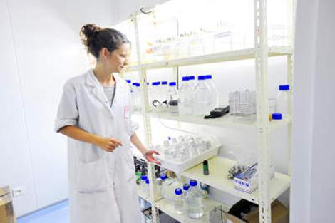 Didier Robert défend la création d’un CHU