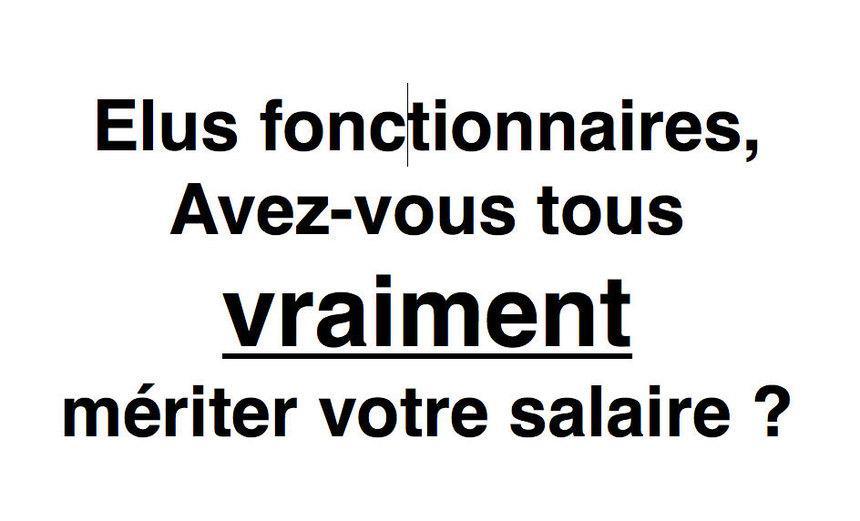 Paul, internaute : "Et que dire des élus fonctionnaires payés et souvent absents à leur travail"