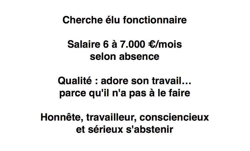 Elus fonctionnaires à plus de 7.000 €/mois, mais pour quel travail ?