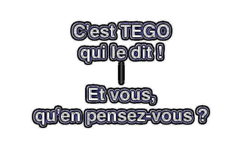 TEGO, internaute : "Le PS n'a pas encore gagné la présidentielle de mai 2012"