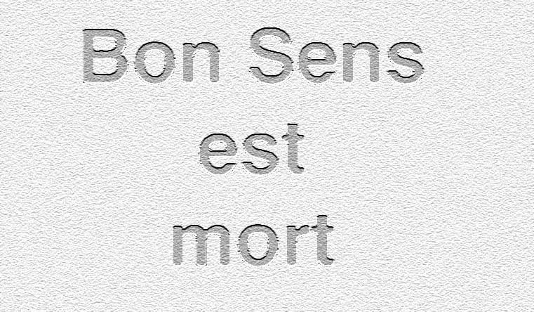 Vieuxtang412, internaute, vous fait part "du décès du très cher Bon Sens"