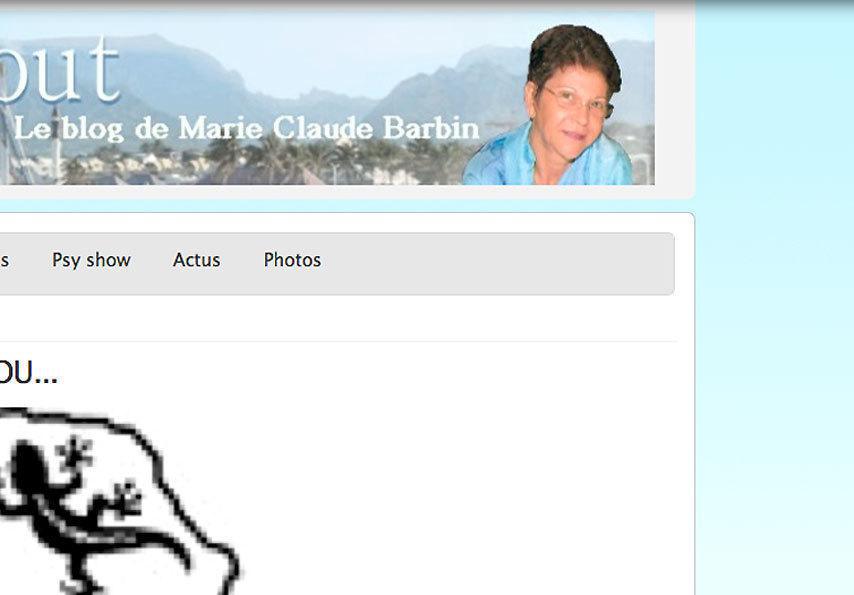 Marie-Claude Barbin : "Vous avez dit Pyromane ?"