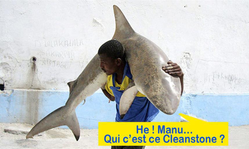Joseph Cleanstone : @Manu la blagueuse