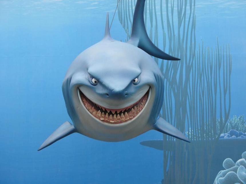 Huile de foie de requin