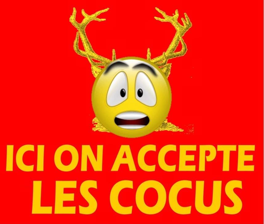 THALUSSA le magazine de l' Amer de Serge LACOUR et Bernard COLOMB.