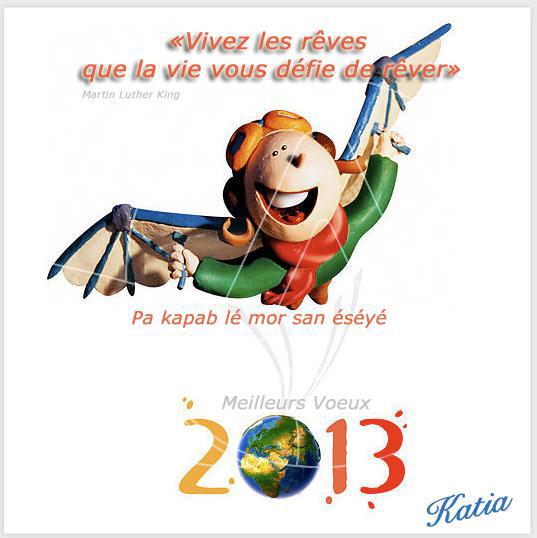 Bonne année 2013