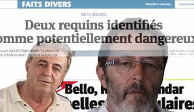 " T'as lu ça ? " , le magazine de l'amer, revue de presse