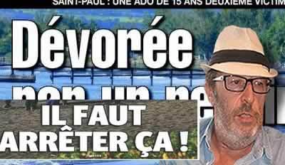 La revue de presse : THALUSSA