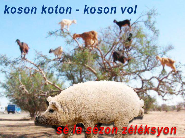 Pou viv lib, viv an Maron