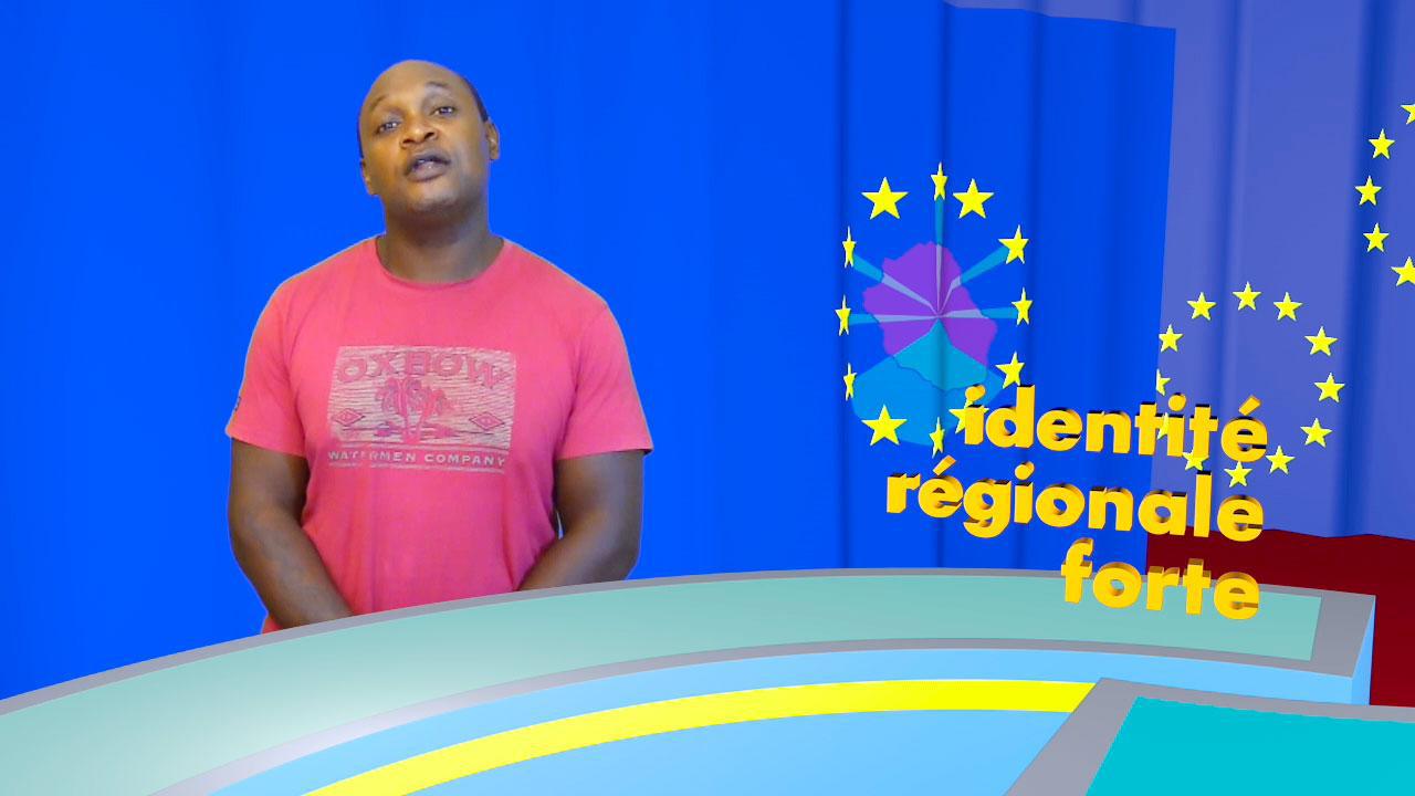 Faut-il voter aux les élections Européennes ?