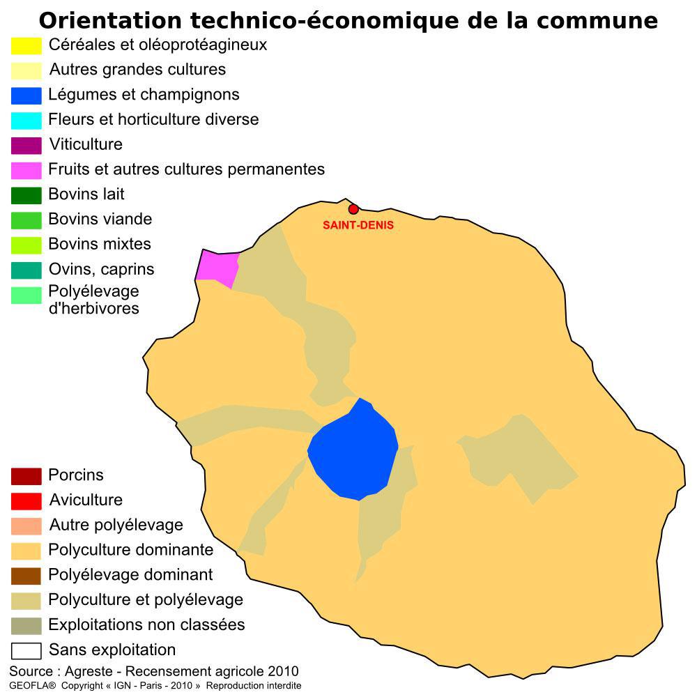 Agriculture à La Réunion