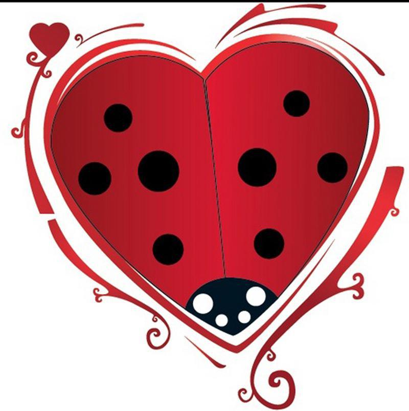 Cœur2coccinelle