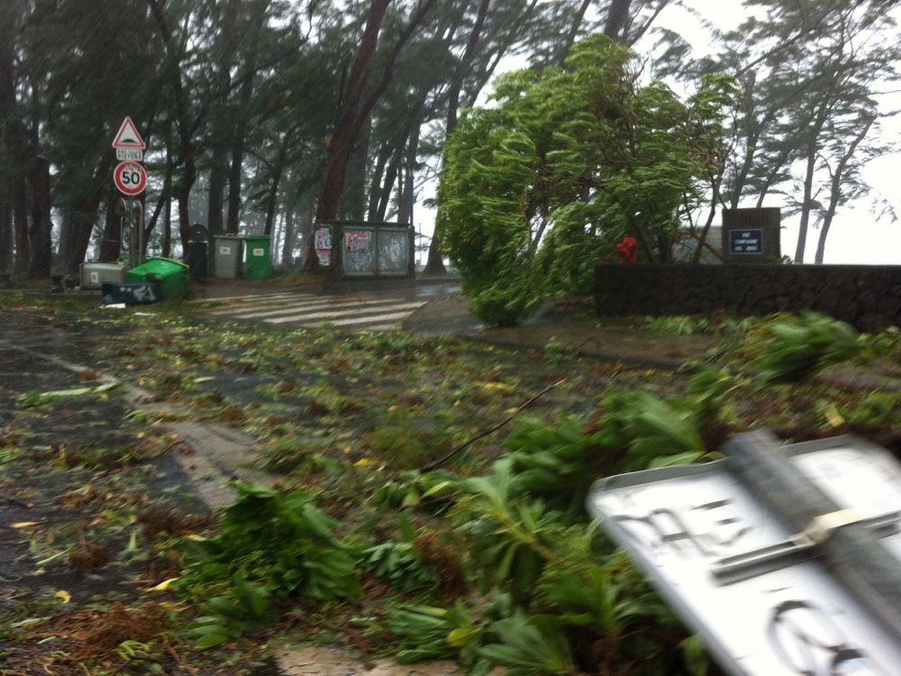 La commune de Saint-Leu installe un dispositif post-cyclonique