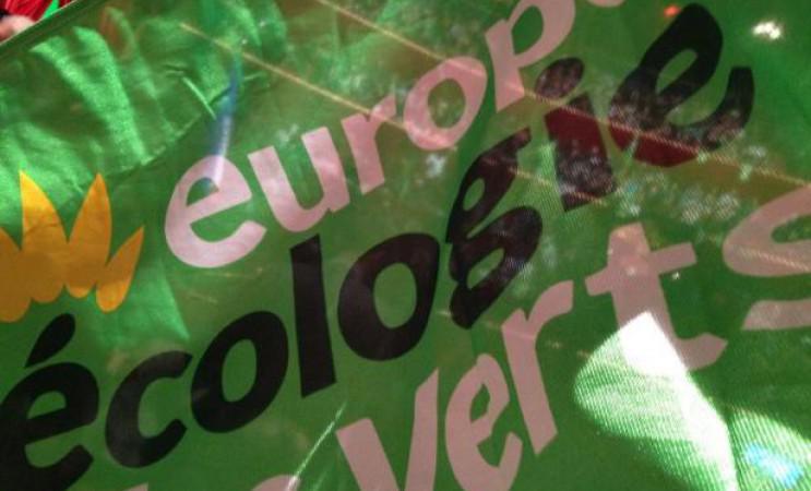 Les Verts à La Réunion : pire que le chik, que carapatte su tété boeuf