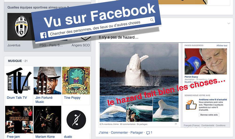 Une histoire de hazard