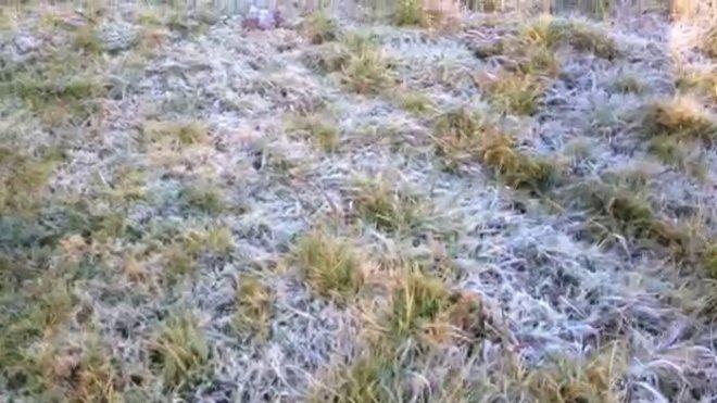 Neige sur les hauts