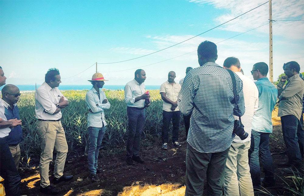Thierry ROBERT : Initiatives, entreprise et terroir : la jeunesse kapab a envie de faire avancer le Made in Réunion !