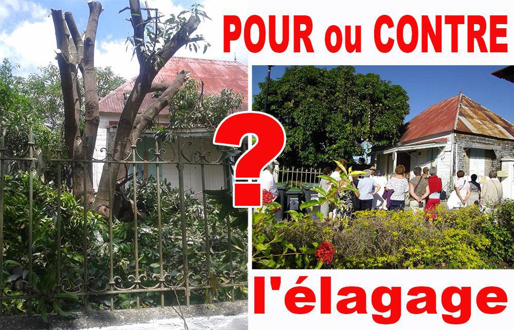 ENTRE-DEUX : Peut-on encore élaguer les arbres ?