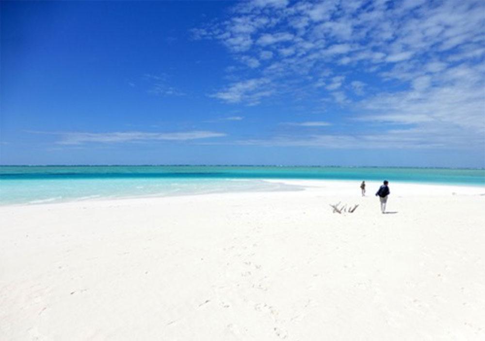 Encore 10 places pour qui veut visiter les îles Eparses…