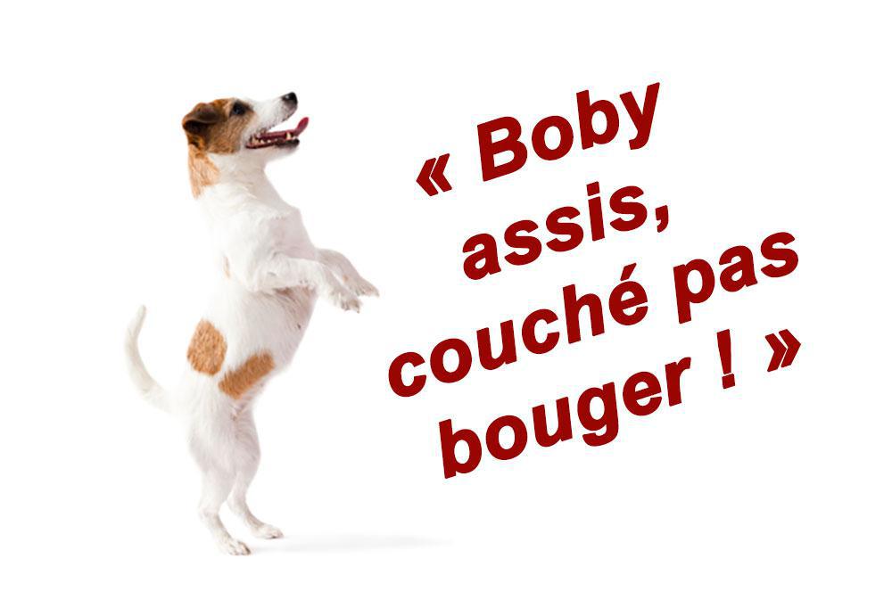 LES INDIGNES