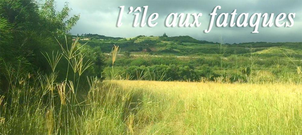 LA RÉUNION, L’ILE AUX FATAQUES !
