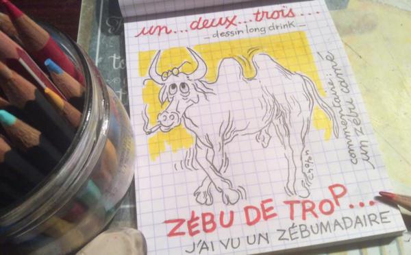 Le Zébumadaire