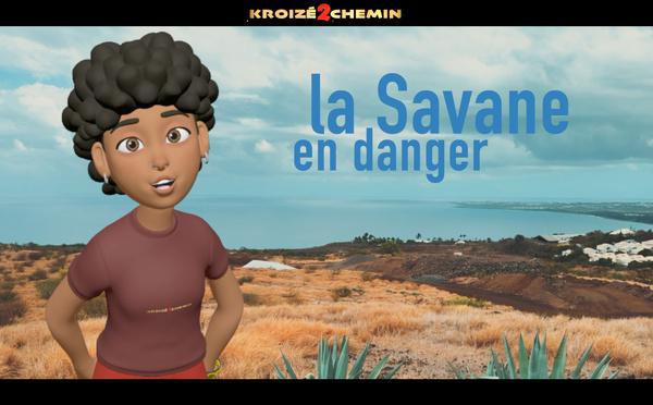 Plateau Caillou : la savane en danger, la démocratie aussi