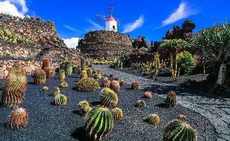 Crociera Alle Canarie Con Costa Fortuna