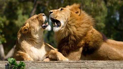 Zoo di Fasano e Alberobello Zoo di Fasano e Alberobello