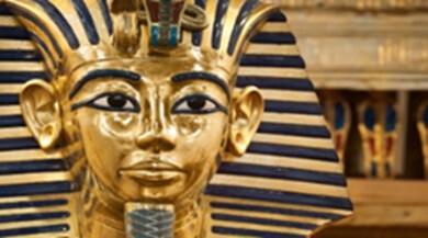 Torino: museo egizio e Bioparco zoom Torino: museo egizio e Bioparco zoom