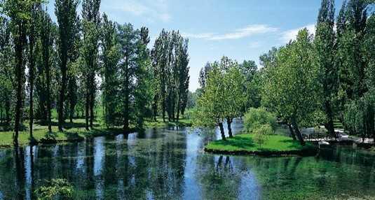 infiorata di Spello e fonti del Clitunno
